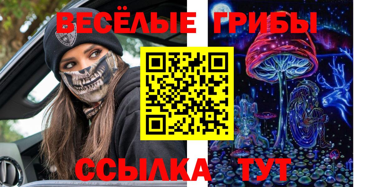 Каннабис Майкоп