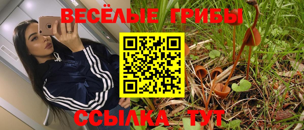 Псилоцибиновые грибы прущие грибы Майкоп