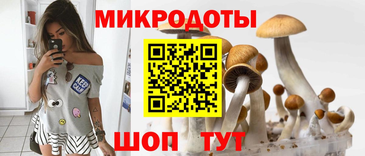 Майкоп  Галлюциногенные грибы Psilocybine cubensis  Вход с VPN 
